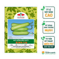 - Hạt giống Bầu lai F1 RUMA 100 East-West Seed (Hai Mũi Tên Đỏ) - Gói 20 hạt - Hình ảnh minh họa