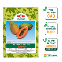 Hạt giống Đu đủ ruột đỏ Sapna East-West Seed (Hai Mũi Tên Đỏ) - Gói 4 hạt - Hình ảnh minh họa