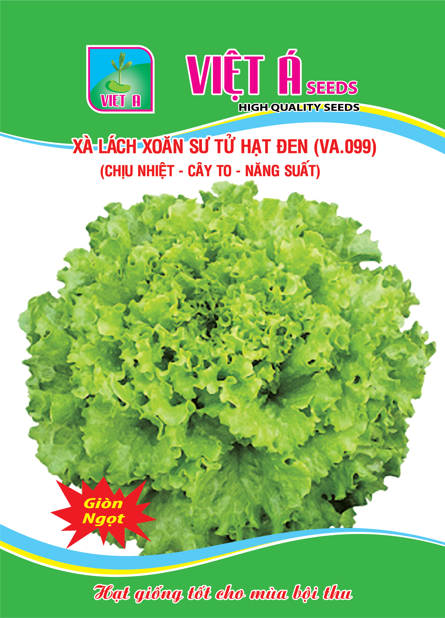 Hạt giống Xà lách xoăn sư tử hạt đen NO.8 - Gói 5 gram