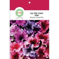 Hạt giống Hoa Dạ Yên Thảo đứng gân nhiều màu FVN - Gói 15 hạt - Hình ảnh minh họa