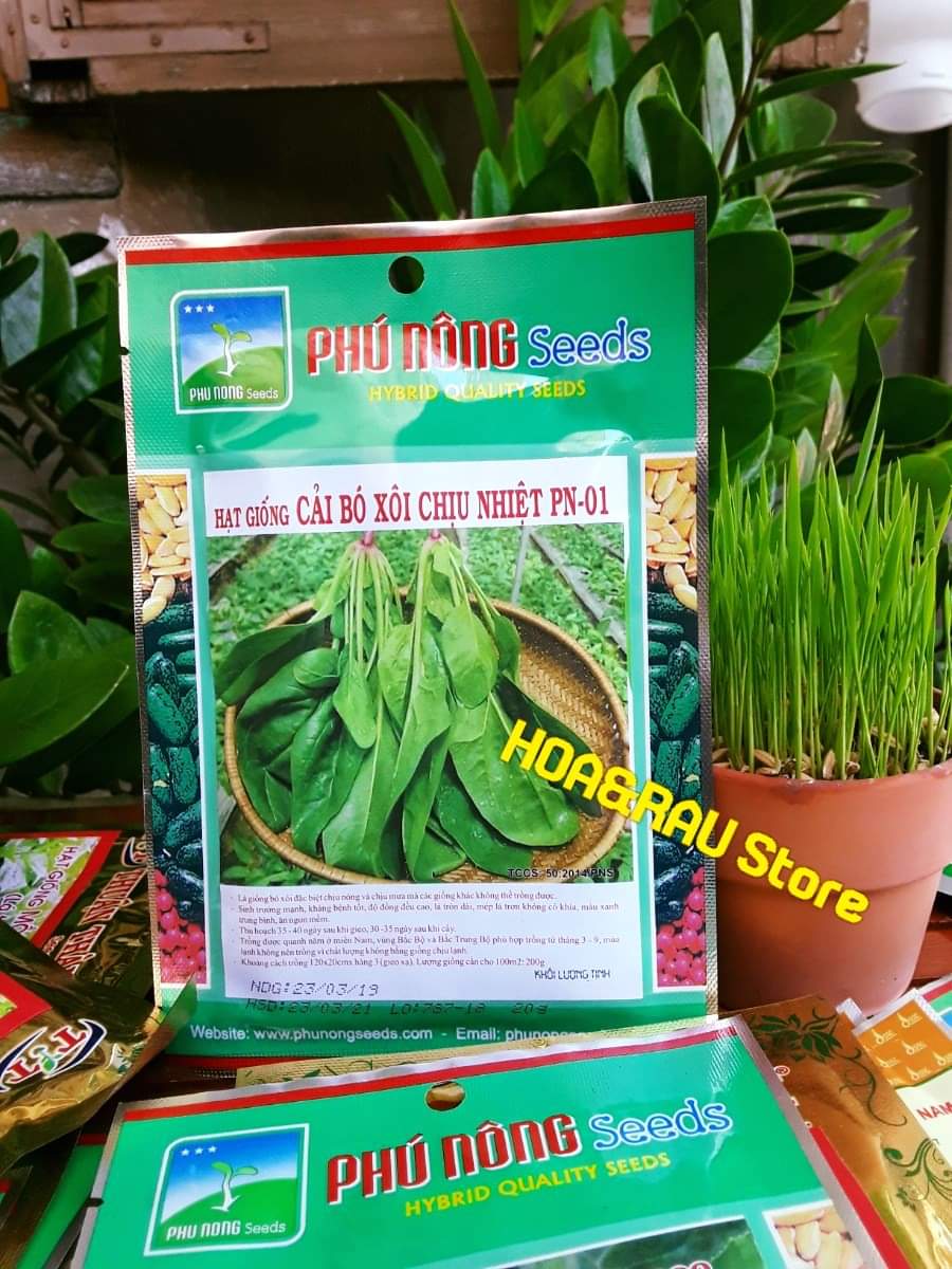Hạt giống Cải bó xôi (chịu nhiệt) PN 1010