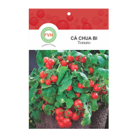Hạt giống Cà chua bi đỏ FVN - Gói 5 hạt - Hình ảnh minh họa