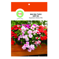 Hạt giống Hoa Mai Địa Thảo Kép Rũ Nhiều Màu FVN - Gói 5 hạt - Hình ảnh minh họa