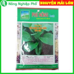 Hạt giống Cải Ngọt Cao Sản PN