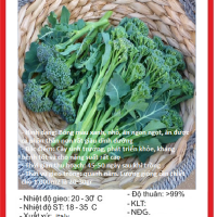 Hạt giống Súp Lơ Xanh NO.3 PN - Gói 0.2 gram - Hình ảnh minh họa