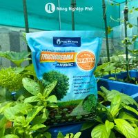 Chế phẩm Trichoderma Humic Plus SFARM (1kg) – Nấm đối kháng, cải tạo đất hiệu quả