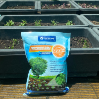 Chế phẩm Trichoderma Humic Plus SFARM (1kg) – Nấm đối kháng, cải tạo đất hiệu quả