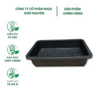Chậu Trồng Rau Thông Minh 67x42x16cm - Nhựa PP bền màu, thoát nước tốt