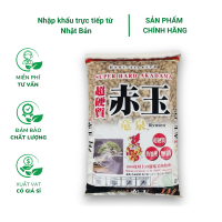 Đất AKADAMA Super Hard – Phân nền giữ ẩm, thoát nước tốt cho cây cảnh