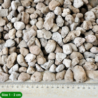 Đá Pumice – Đá bọt trồng cây thoáng khí, giữ ẩm, thoát nước tốt cho cây cảnh