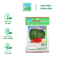 Hạt giống Dưa hấu Thành Long F1 PN 555 - Gói 1 gram - Hình ảnh minh họa