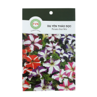 Hạt giống hoa Dạ Yên Thảo sọc FVN - Gói 15 hạt - Hình ảnh minh họa