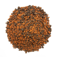 Giá thể trồng cây sen đá, xương rồng và cây mọng nước SERAMIS - Túi 2.5 lít