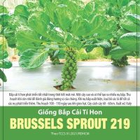 Hạt giống Bắp cải tí hon BRUSSELS SPROUT 219 - Gói 2 gram