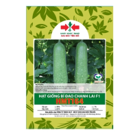 Hạt giống Bí đao chanh lai F1 HMT164 East-West Seed (Hai Mũi Tên Đỏ) - Gói 22 hạt