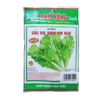 Hạt giống Cải bẹ dún PN 812 - Gói 10 gram