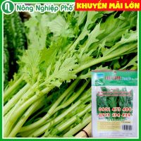 Hạt giống cải bẹ xanh ngọt đuôi phụng PN 28 - Gói 10 gram