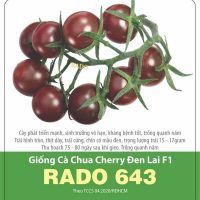 Hạt giống Cà chua cherry đen RADO 643 - Gói 0.1 Gram