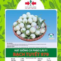 Hạt giống Cà pháo Bạch Tuyết lai F1 979 East-West Seed (Hai Mũi Tên Đỏ) - Gói 1gr