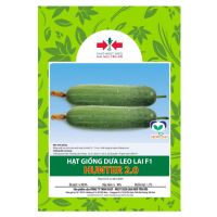 Hạt giống Dưa leo lai F1 Hunter 2.0 East-West Seed (Hai Mũi Tên Đỏ) - Gói 50 hạt