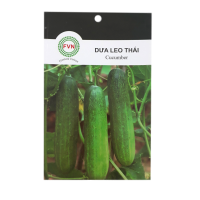 Hạt giống Dưa Leo Thái FVN - Gói 15 hạt
