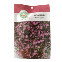 Hạt giống hoa baby FVN - Gói 5 hạt