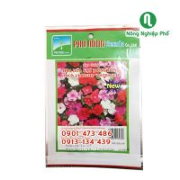 - Hạt giống hoa Dừa cạn (dòng đứng) PN - Gói 10 hạt