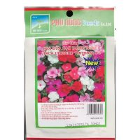 - Hạt giống hoa Dừa cạn (dòng đứng) PN - Gói 10 hạt