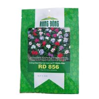 Hạt giống Hoa dừa cạn lùn nhiều màu RD 856 - Gói 0.03 gram