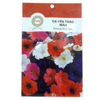 Hạt giống hoa Dạ Yên Thảo Màu FVN - Gói 15 hạt