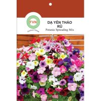 Hạt giống Hoa Dạ Yên Thảo Rũ nhiều màu FVN - Gói 5 hạt