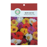 Hạt giống hoa Mười Giờ Rũ FVN - Gói 10 hạt
