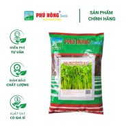 Hạt giống Mầm rau muống PN 026 - Gói 1kg