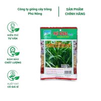 Hạt giống rau muống cao sản PN (Dạng lá tre) - Dễ trồng, giống rau tốt, phù hợp với mọi loại đất