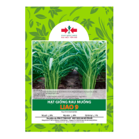 Hạt giống Rau muống Liao 9 East-West Seed (Hai Mũi Tên Đỏ) - Gói 100gr