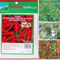 Hạt Giống Ớt Chỉ Thiên PN 168