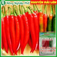 Hạt giống Ớt Hàn Quốc PN - Gói 0.2 gram