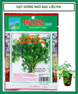 Hạt giống Ngò Bạc Liêu PN 07