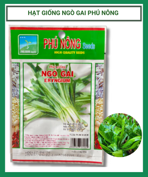 Hạt giống Ngò gai PN 03