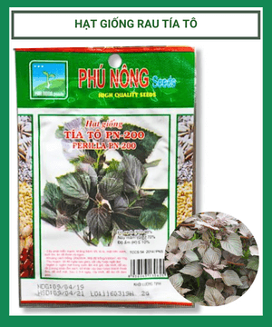 Hạt giống Tía tô PN 200 - Gói 2 gram