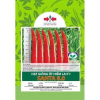 Hạt giống Ớt hiểm lai F1 Santa 8.0 East-West Seed (Hai Mũi Tên Đỏ) - Gói 10 hạt - Hình ảnh minh họa