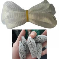 - Lưới bỏ phân ( 10m )