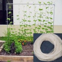 - Lưới làm giàn leo (1m)