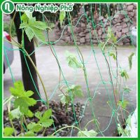 ​​​​​​​Lưới làm giàn leo nhập khẩu Đài Loan màu xanh (10x10cm) - Độ bền cao, dễ sử dụng