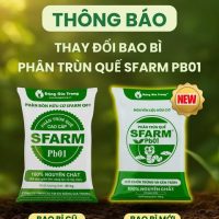 Phân trùn quế cao cấp Sfarm đã qua xử lý - Chuyên bón cho rau sạch, kiểng lá và hoa hồng