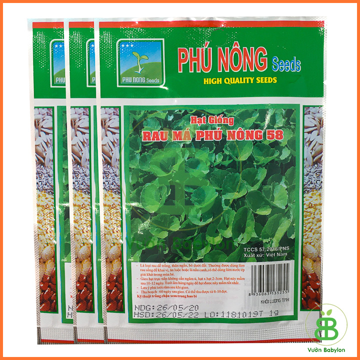 Hạt giống rau má PN 58 - Gói 1 Gram