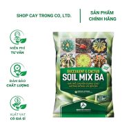 Soil Mix (Túi 6.5dm3) - Giá thể trồng sen đá, xương rồng, thoát nước tốt, phòng ngừa thối rễ