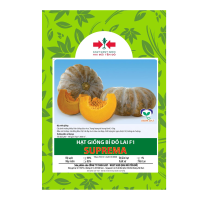 Hạt giống Bí đỏ lai F1 SUPREMA East-West Seed (Hai Mũi Tên Đỏ) - Gói 12 hạt - Hình ảnh minh họa