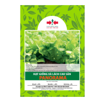 Hạt giống Xà lách cao sản Panorama East-West Seed (Hai Mũi Tên Đỏ) - Gói 1500 hạt - Hình ảnh minh họa
