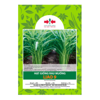 Hạt giống Rau muống Liao 9 East-West Seed (Hai Mũi Tên Đỏ) - Gói 100gr - Hình ảnh minh họa